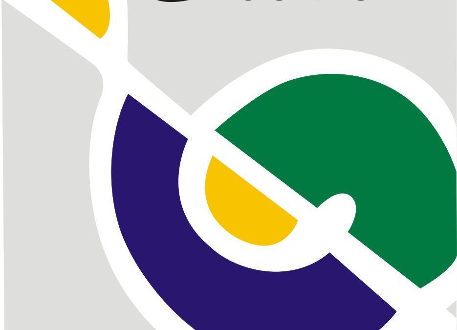 Festival de la Canción GIM 2013